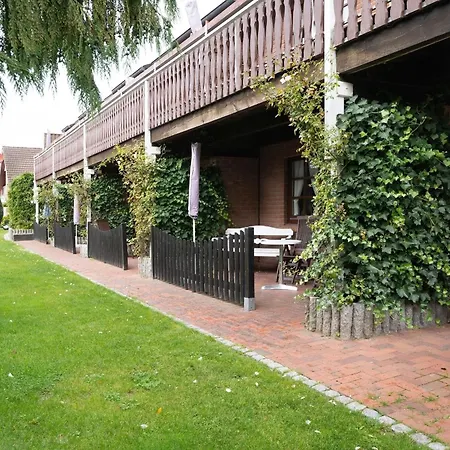 Ostseegarten Forsythie *